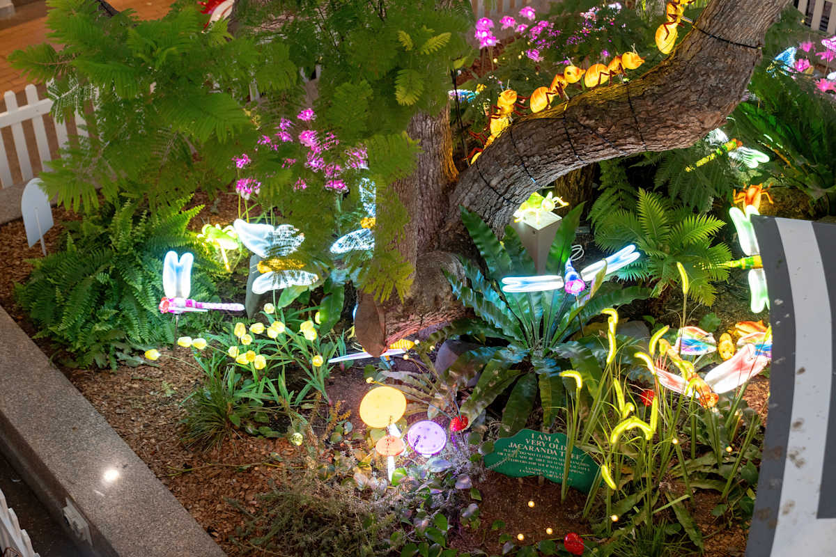 Magic Garden Warringah