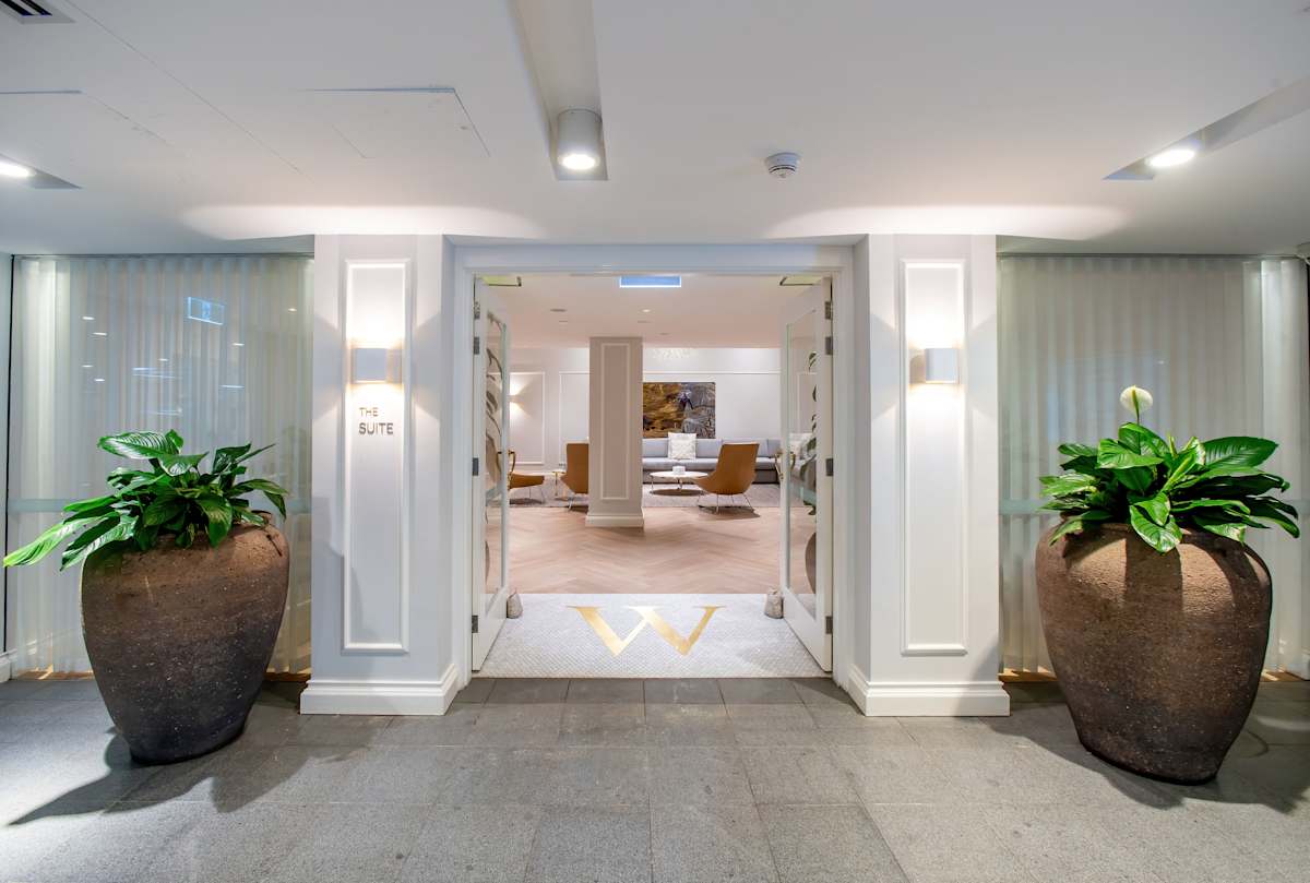 The Suite