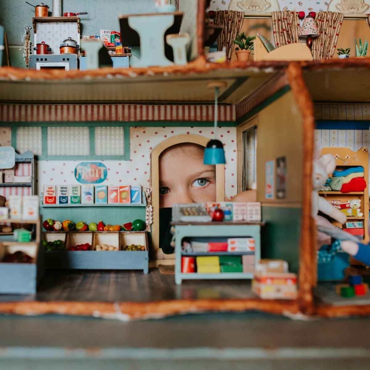 Zebra Finch: Mouse Mansion - Sam and Julia