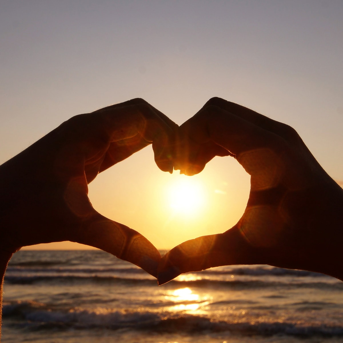 Wax It Wellness & Rejuvenation: Beauty memberships