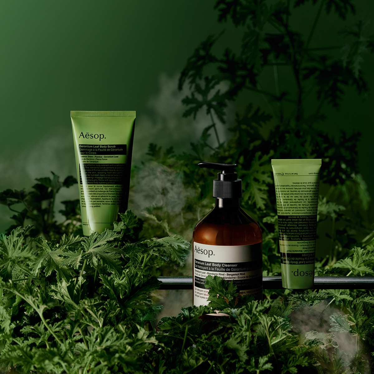 Aesop: Geranium Leaf Body Care