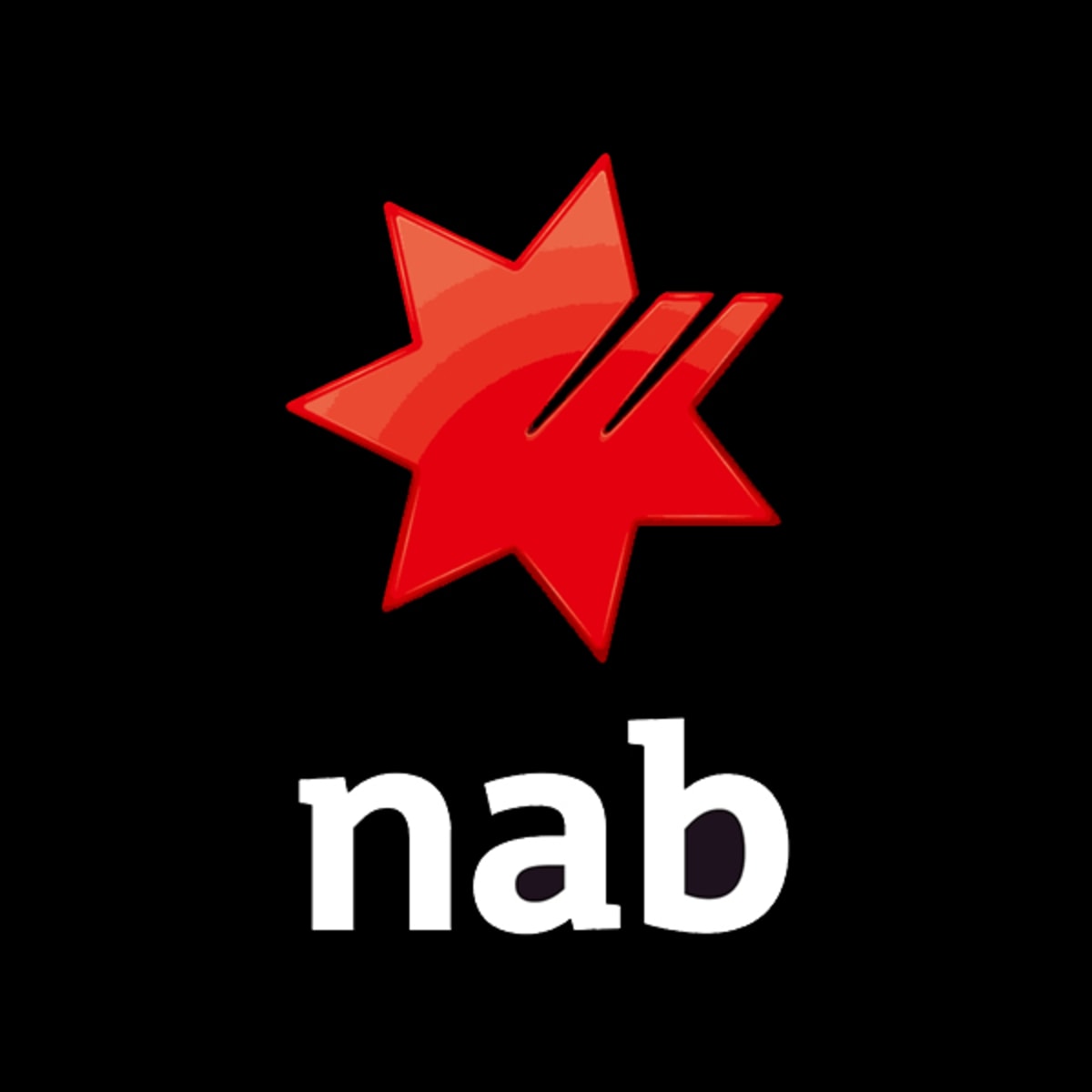 NAB Logo