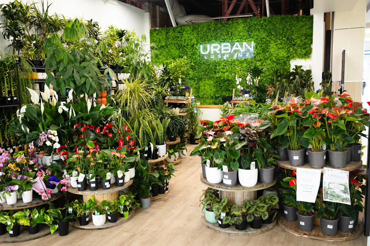 Urban Lush Storefront