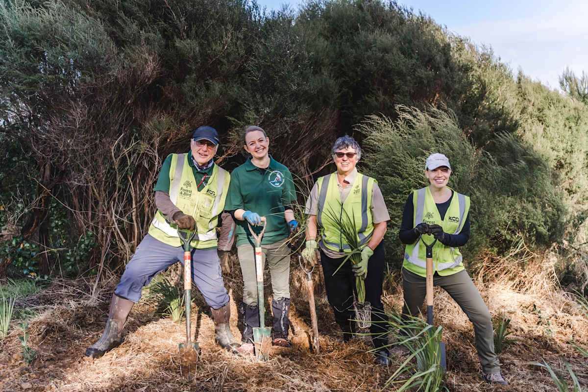 PFHC team planting. Credit Forest & Bird 1