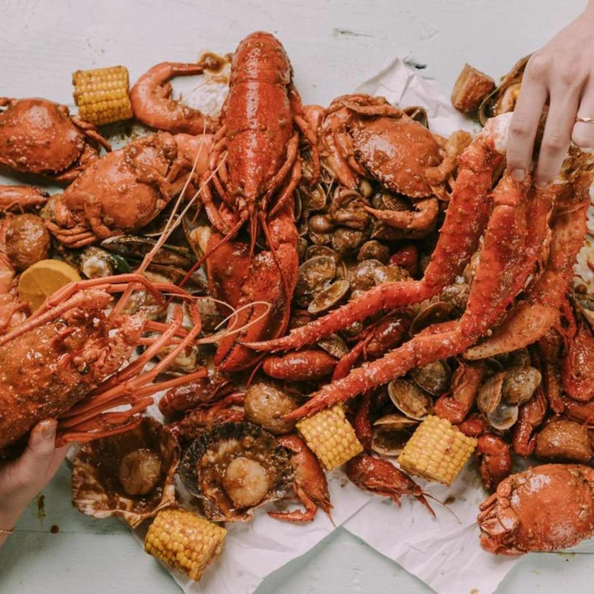 Krabby's Krab Boil - Knox