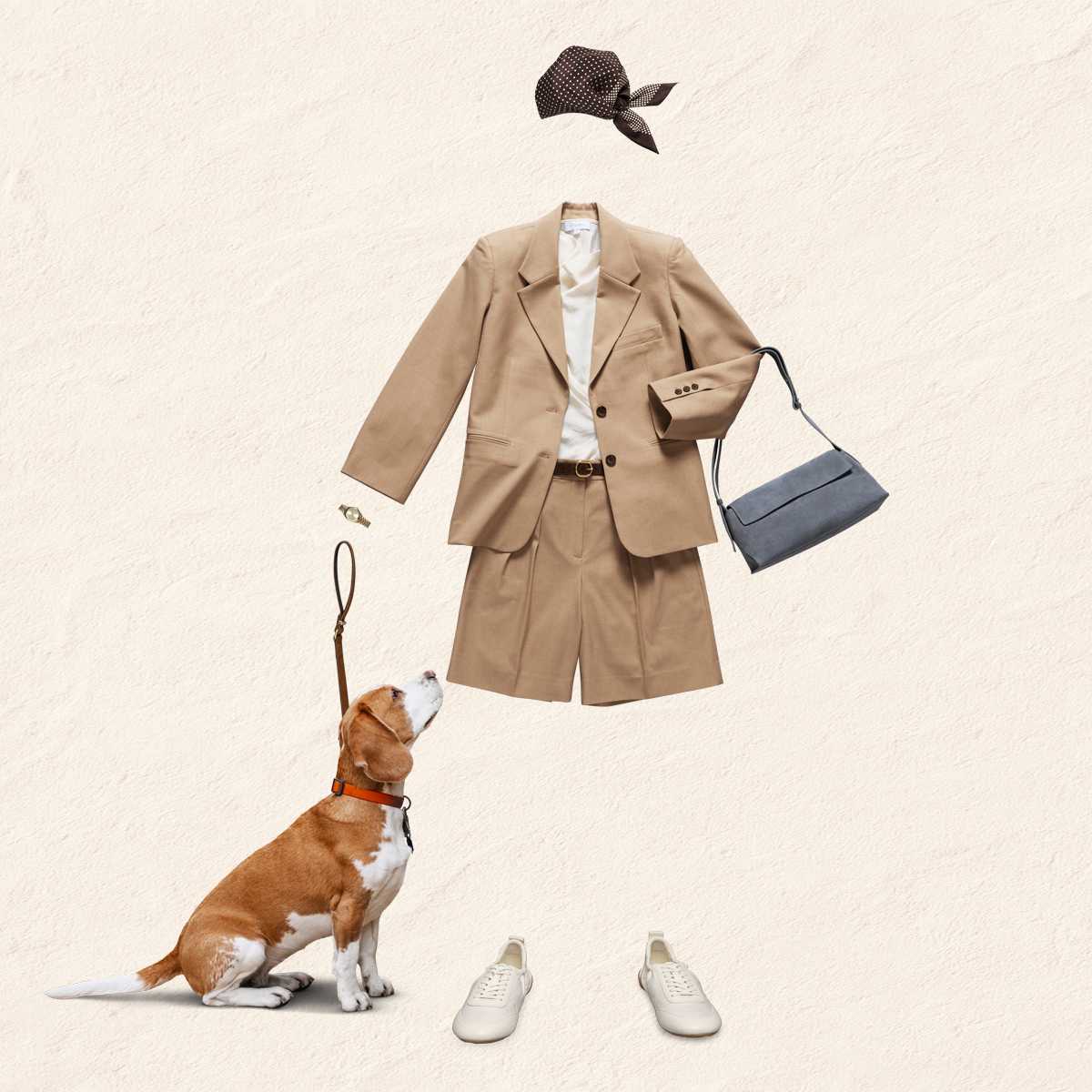 Spring 2026 Soft Tailoring NZ