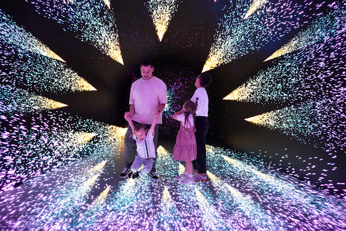 Digipark Experience