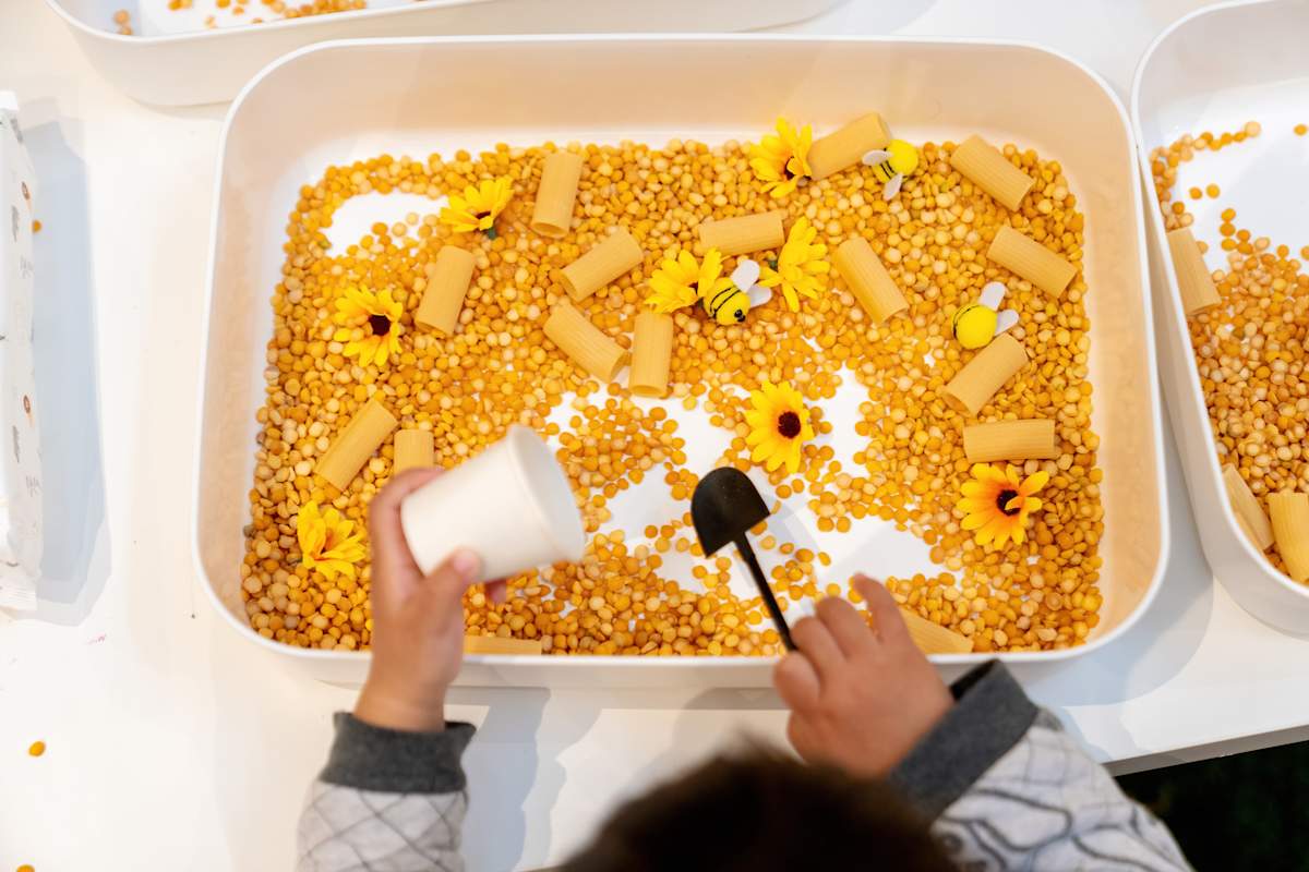Little Explorers - hur