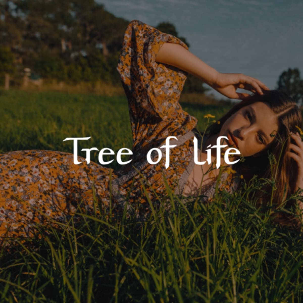 Tree of Life storefront image
