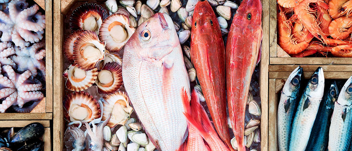 Generic Fresh Food Seafood Banner