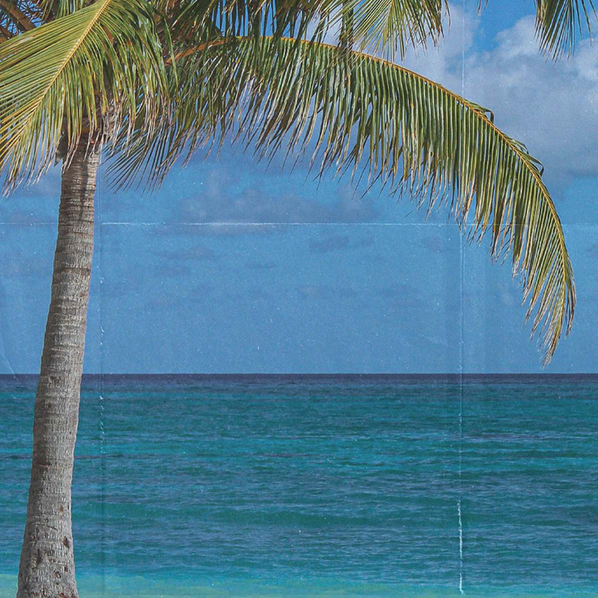 Seafolly: End Of Season Sale Starts Now