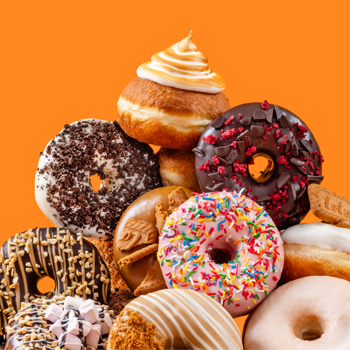Brooklyn Donut & Coffee Co. : Six Pack Donut Deal