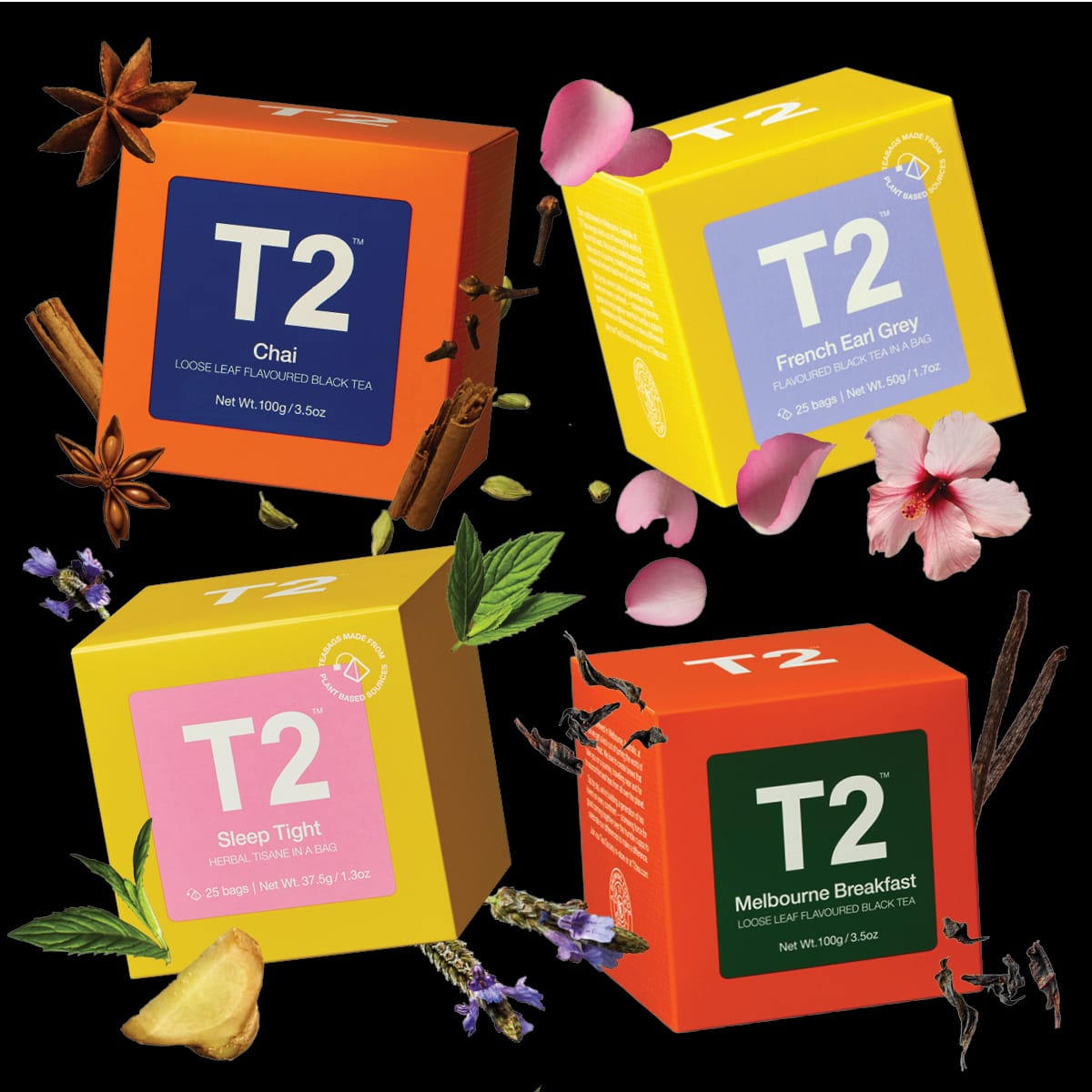 T2