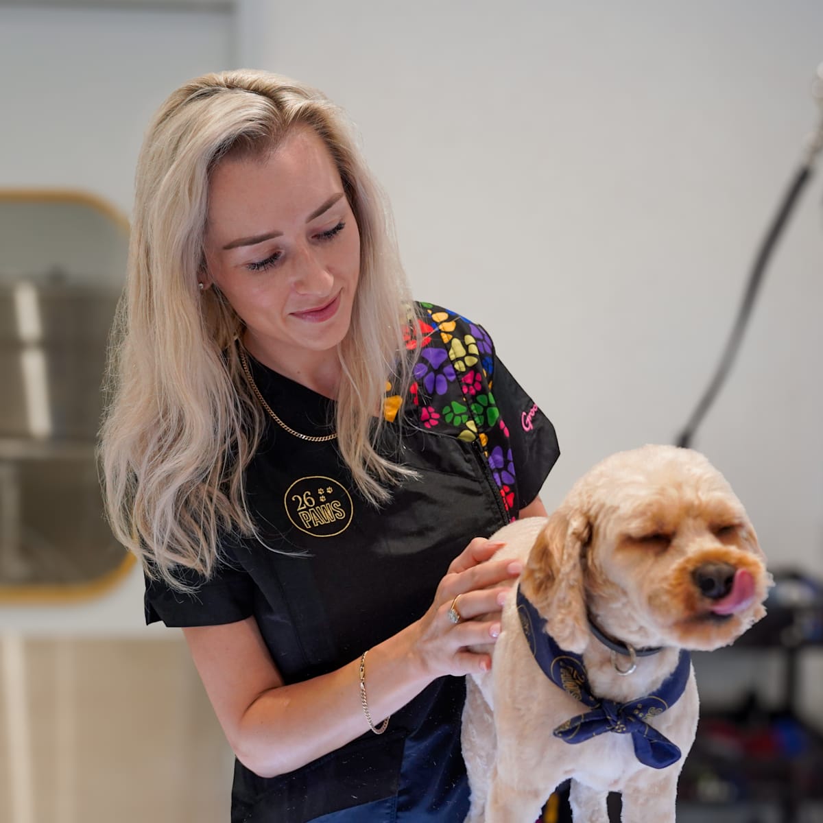 26 Paws: 🐾 Don’t Wait! Secure Your Dog's Grooming A