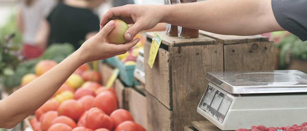 Seasonal Fruit Guide
