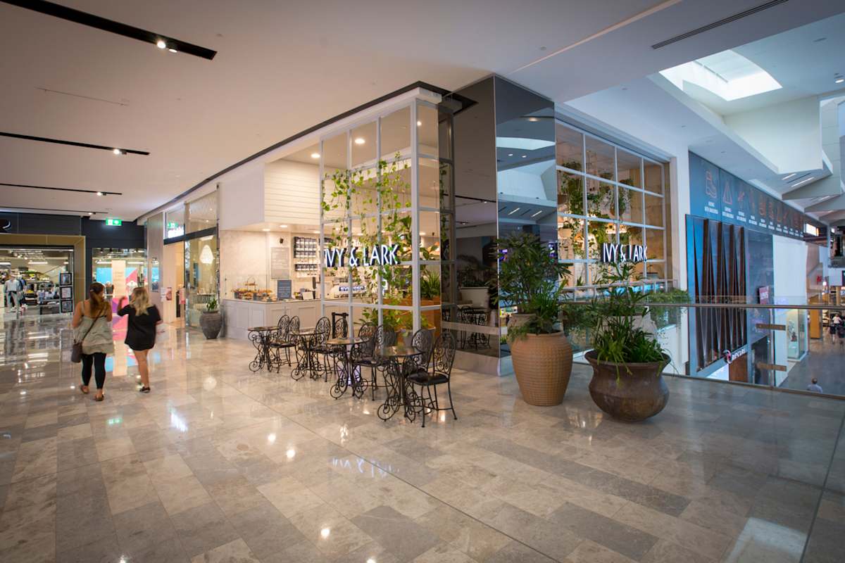 Ivy & Lark storefront image