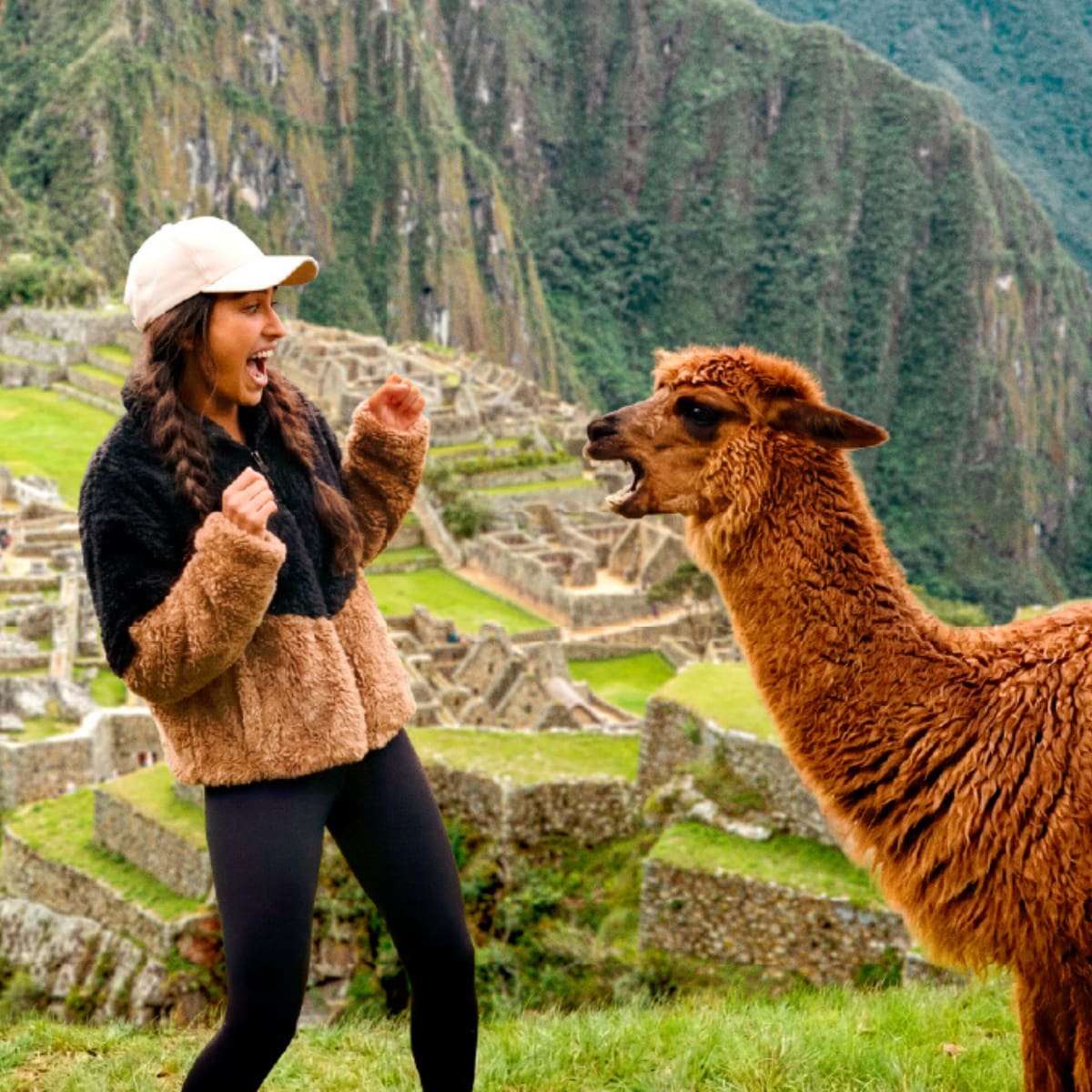 Travelex: Earn Everyday Rewards points at Travelex