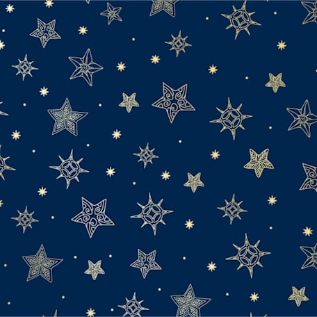 Matariki Stars Albany
