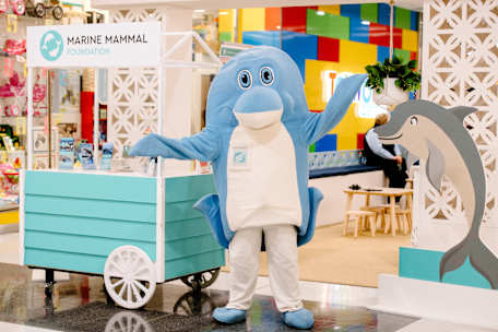 Marine Mammal Foundation - School Hollidays