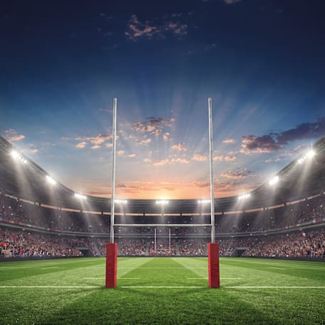 Stadium Graphic from StudioRed