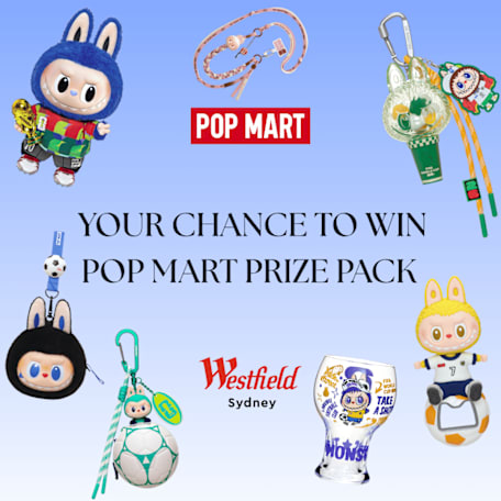 Pop mart x WSYD