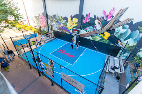 Olympic Live Zone Basketball Court