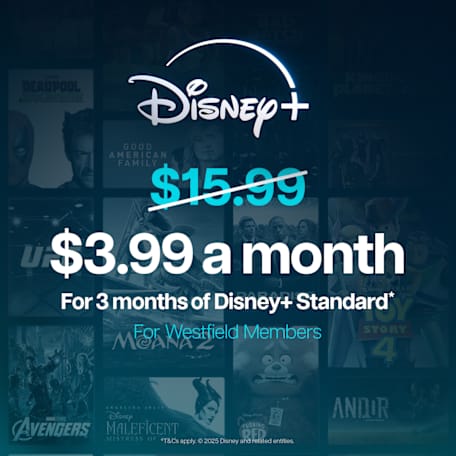 Enjoy Disney+ Standard for $3.99 per month for 3 months.*