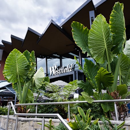 Westfield Carindale - Hero image
