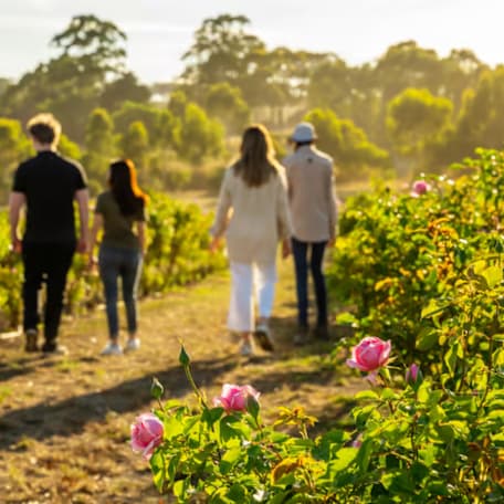 Jurlique Adelaide Hills Farm