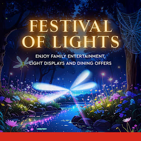 Festival of Lights at Westfield Miranda has been extended!