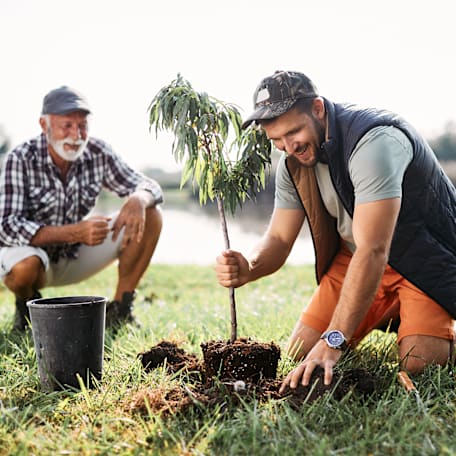 Australian Mutual Bank : Help build our forest!