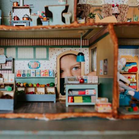 Zebra Finch: Mouse Mansion - Sam and Julia