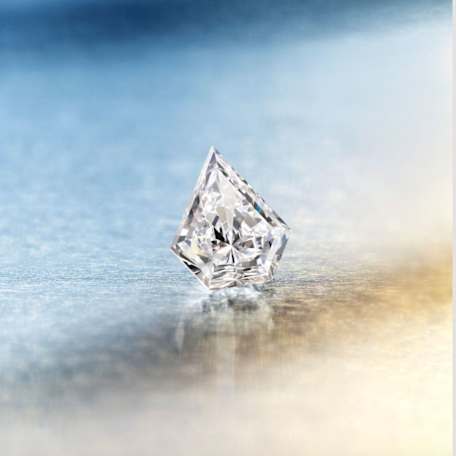 FRED: Maison Exclusive Hero Cut Diamond Bracelet